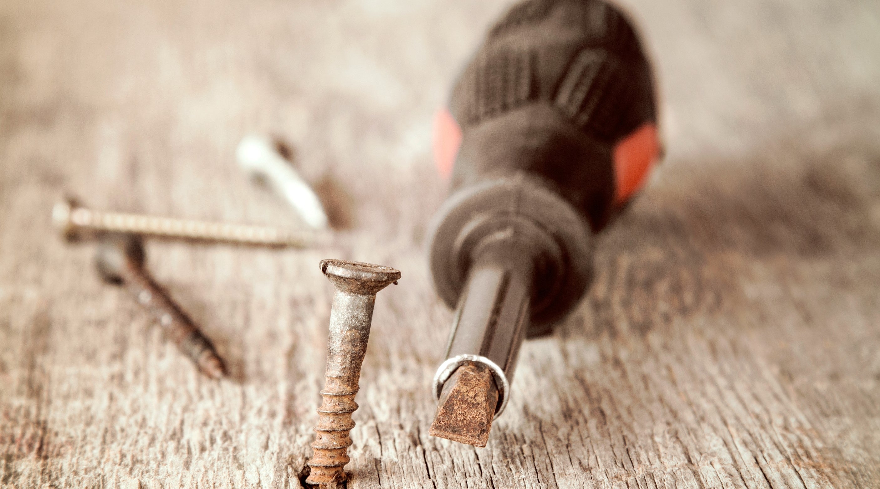 Types of Screws: Heads, Types and Uses - Homedepot.ca