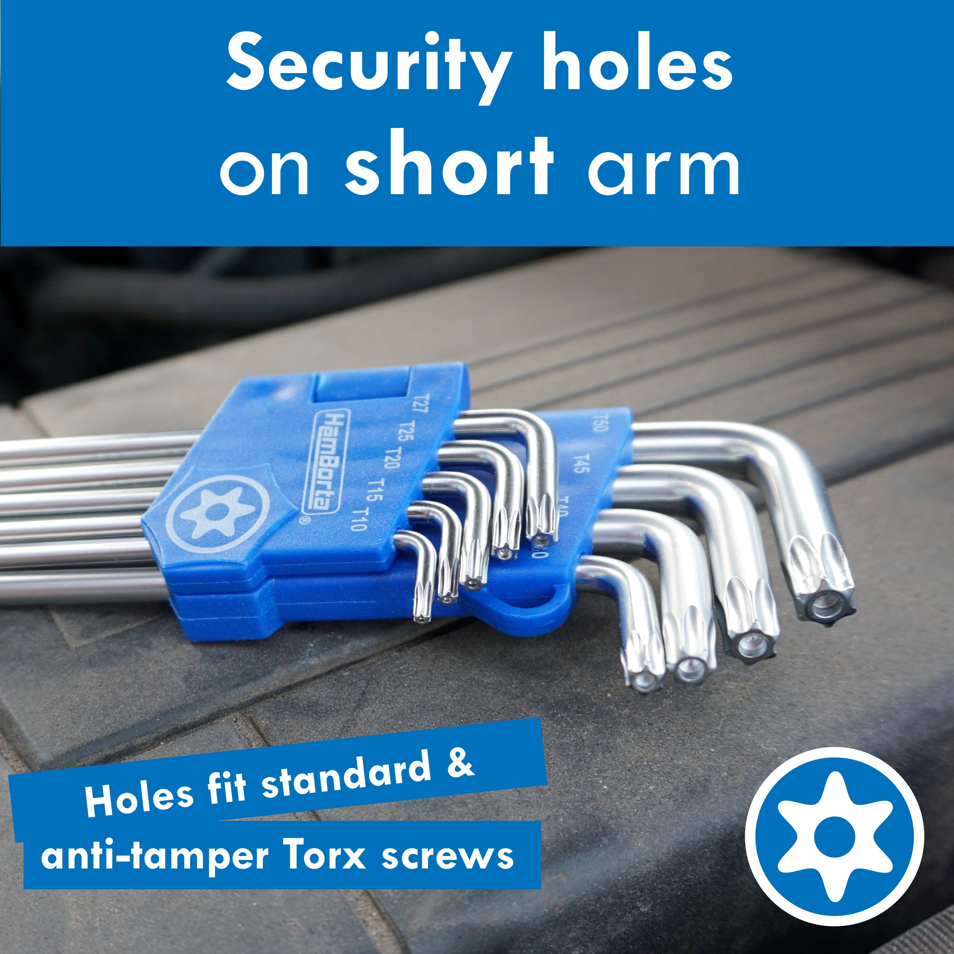 HemBorta Torx Key Set with star on short arm