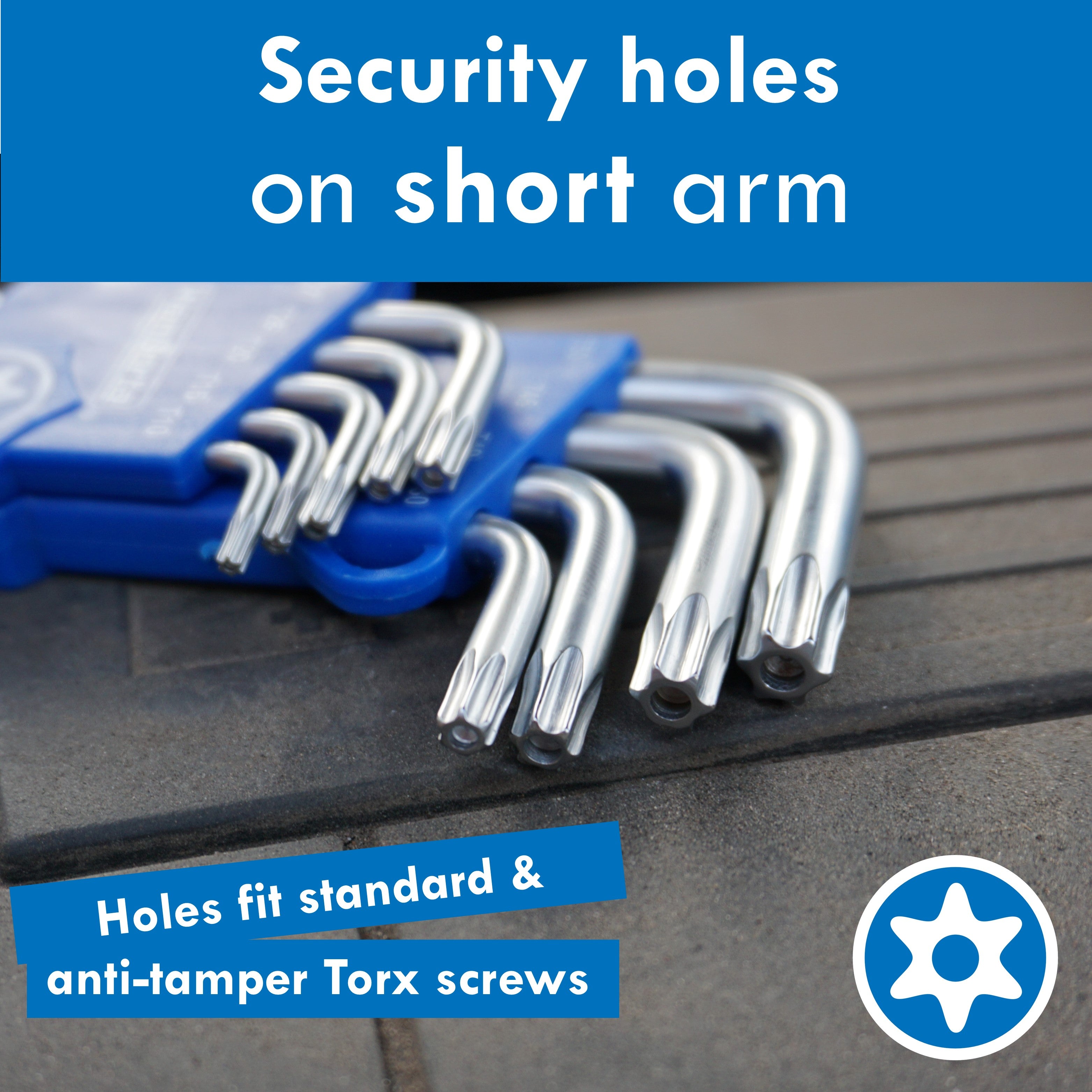 HemBorta Security Torx Set with holes on short arm